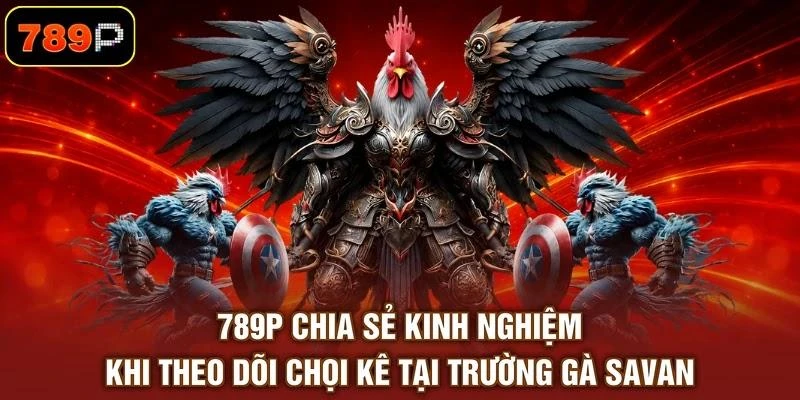 789p-chia-se-kinh-nghiem-khi-theo-doi-choi-ke-tai-truong-ga-savan 789P chia sẻ kinh nghiệm khi theo dõi chọi kê tại trường gà Savan
