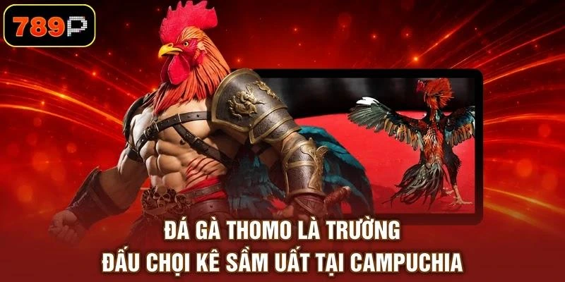 da-ga-thomo-la-truong-dau-choi-ke-sam-uat-tai-campuchia Đá gà Thomo là trường đấu chọi kê sầm uất tại Campuchia