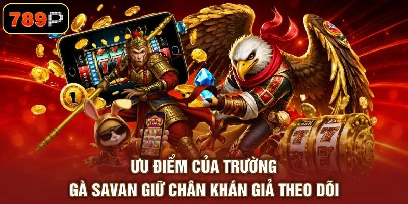 uu-diem-cua-truong-ga-savan-giu-chan-khan-gia-theo-doi Ưu điểm của trường gà Savan giữ chân khán giả theo dõi